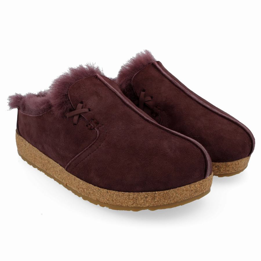 Haflinger Saskatchewan Clogs Herr Lila | SSH5055XU