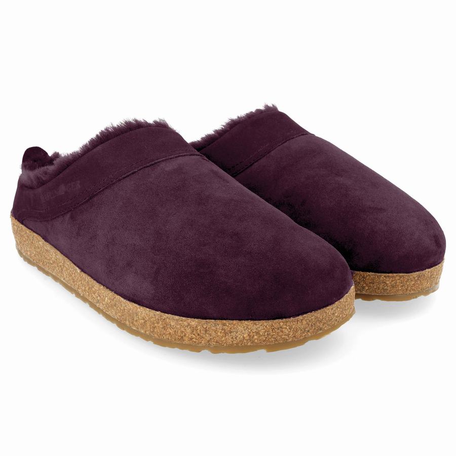 Haflinger Snowbird Clogs Herr Lila | LAQ6881DY