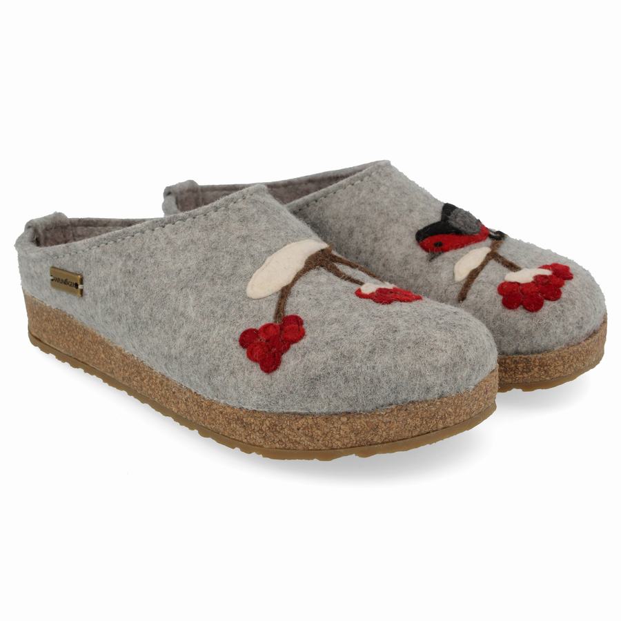 Haflinger Winterbird Clogs Herr Silver Grå | LIH4744HB